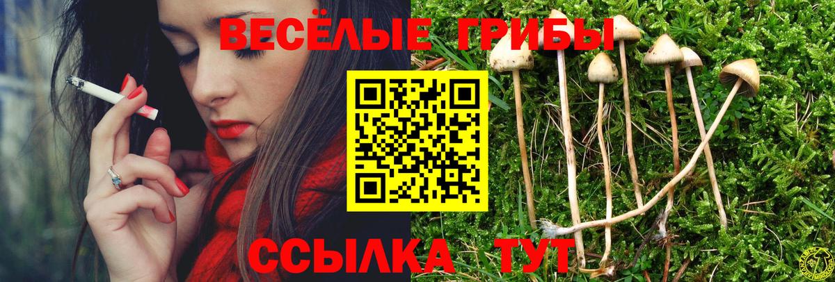 Верхний Уфалей  Галлюциногенные грибы мухоморы  Вход с VPN 