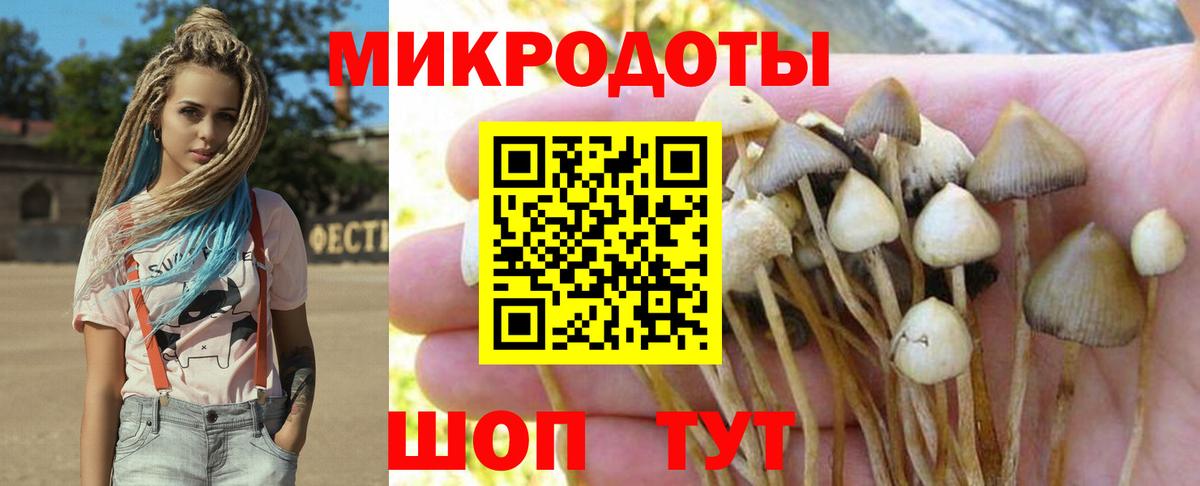 Галлюциногенные грибы ЛСД Верхний Уфалей